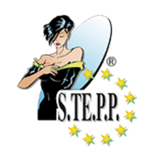 logo stepp