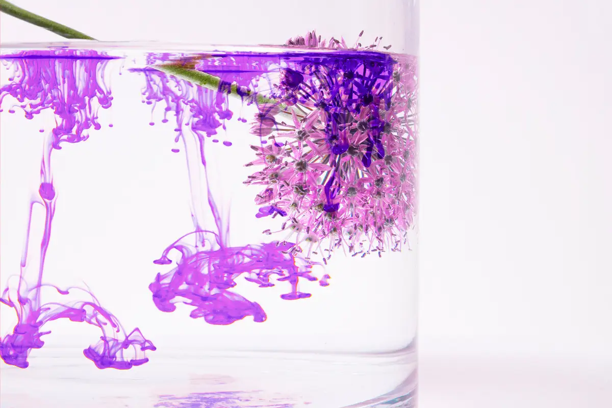 Bakuchiol: l’alternativa naturale al retinolo per le rughe